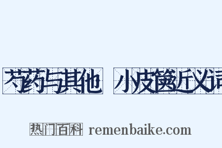 芍药与其他·小皮箧近义词是什么意思的图片